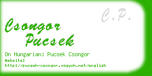 csongor pucsek business card